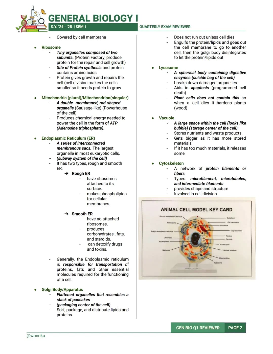 GENERAL BIOLOGY I
S.Y. '24-'25 | SEM 1
QUARTERLY EXAM REVIEWER
1.0 CELL
CELL
- It is the basic unit of structure and function in
living thin