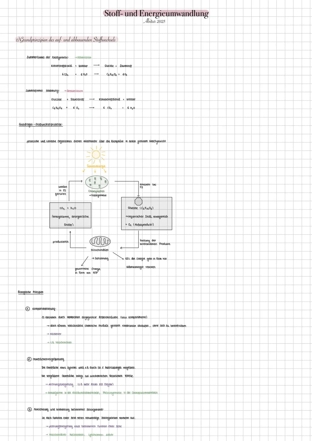 Stoff- und Energieumwandlung
Abitur 2025
1) Grundprinzipien des auf- und abbauenden Stoffwechsels
Summenformel der Fotosynthese
Kohlenstoffd