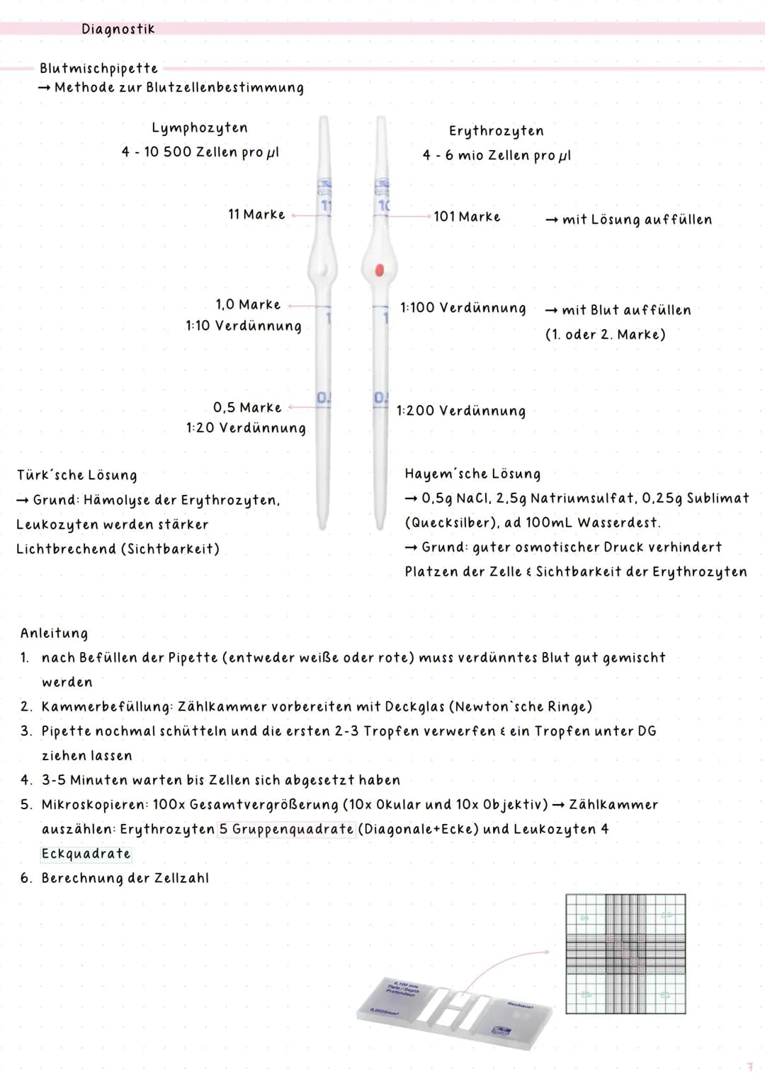# notes
Hämatologie & Histologie
Kurs: BIOLAB22
Jahr: 2024/25 # Index
# Thema
## Hämatologie
1 Blut
2 Morphologische Hämatologie
3 Diagno