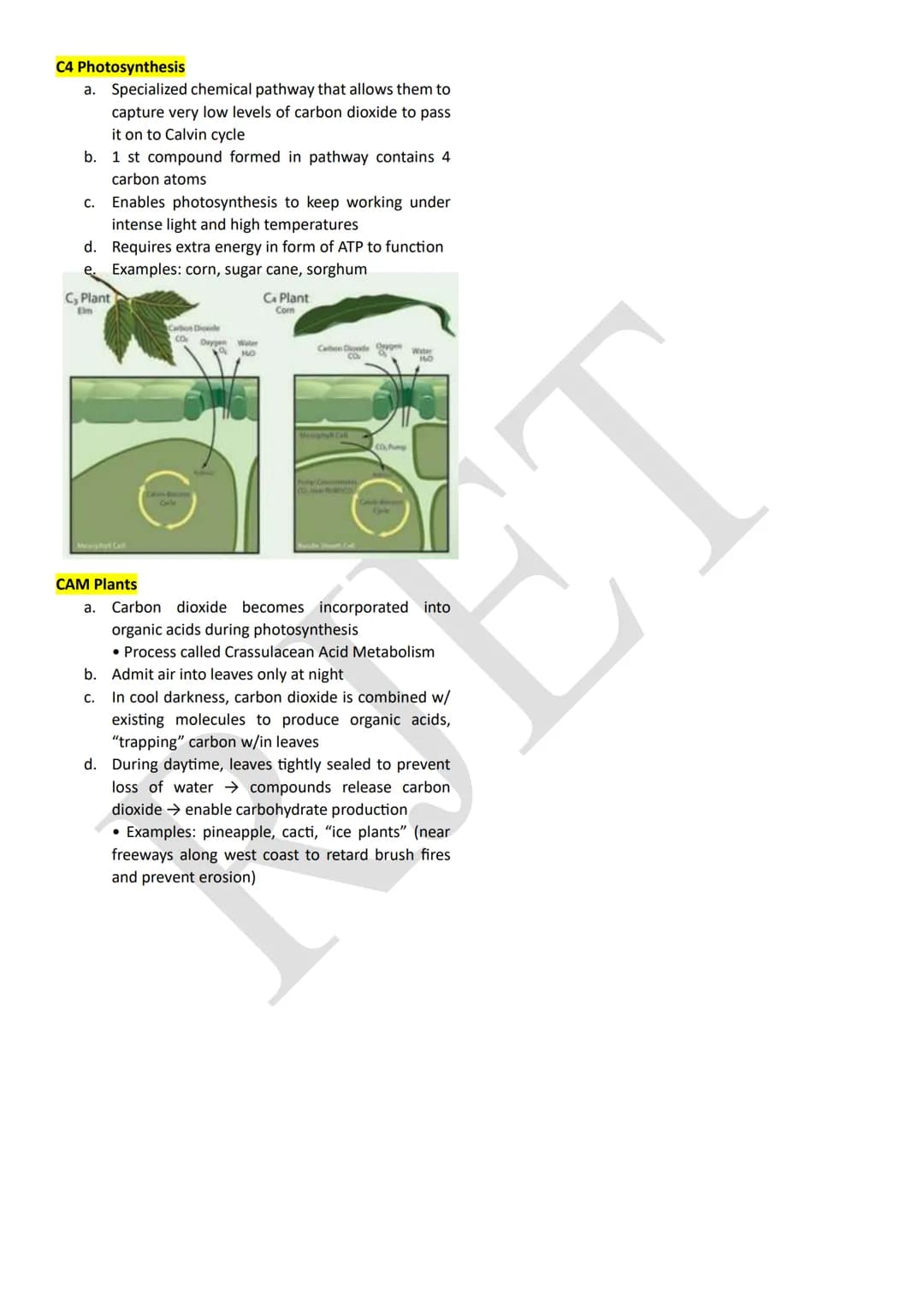 PHOTOSYNTHESIS
An anabolic, endergonic, carbon dioxide (CO2) requiring
process that uses light energy (photons) and water (H2O)
to produce o