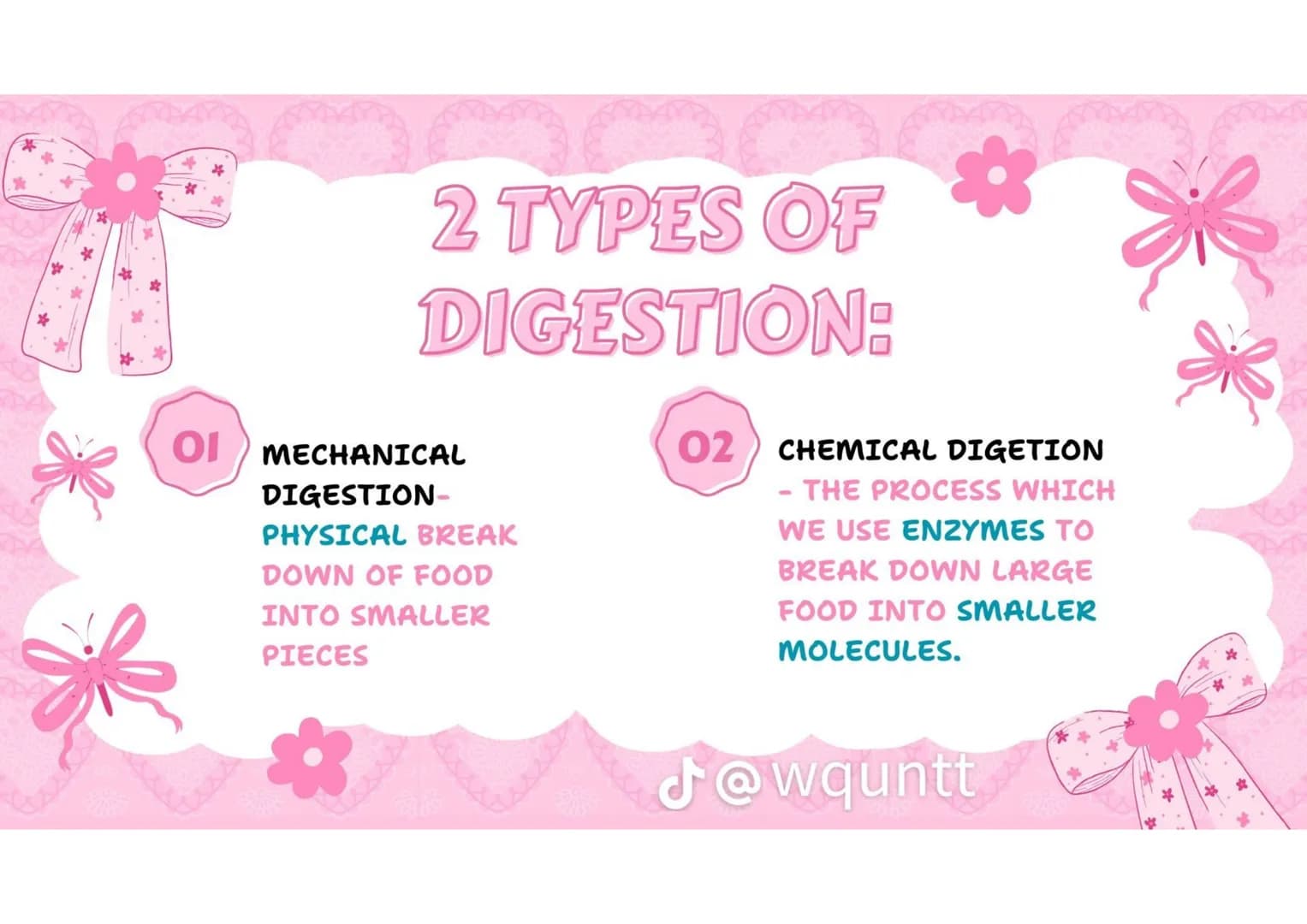 # THE HUMAN
DIGESTIVE
SYSTEM
PREPARED BY: WQUNTT
@wqunnt ANUS
• WHERE FECES
ELEMINATE/RELEASE/EXPE
LLED FROM OUR BODY
THROUGH THE PROCESS