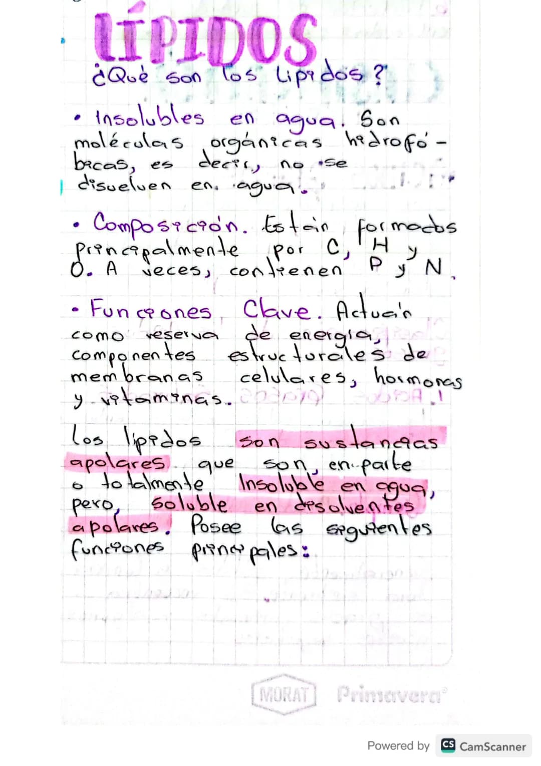 LIPIDOS
¿Qué son los Lipidos?
- Insolubles en agua. Son
moléculas orgánicas hidrofó-
bacas, es decir, no se
disuelven en agua.
- Composición