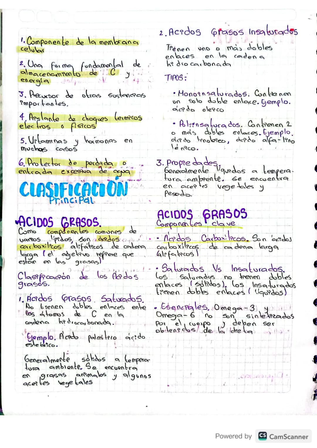 LIPIDOS
¿Qué son los Lipidos?
- Insolubles en agua. Son
moléculas orgánicas hidrofó-
bacas, es decir, no se
disuelven en agua.
- Composición