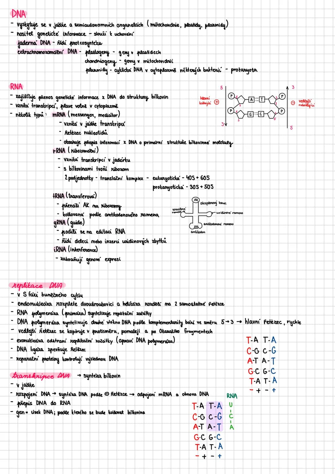 ## Bilkoviny
- proteiny
- makromolekulární sloučeniny - polykondenzáty aminokyselin
- biopolymery složené z jednoho nebo více polypeptidový