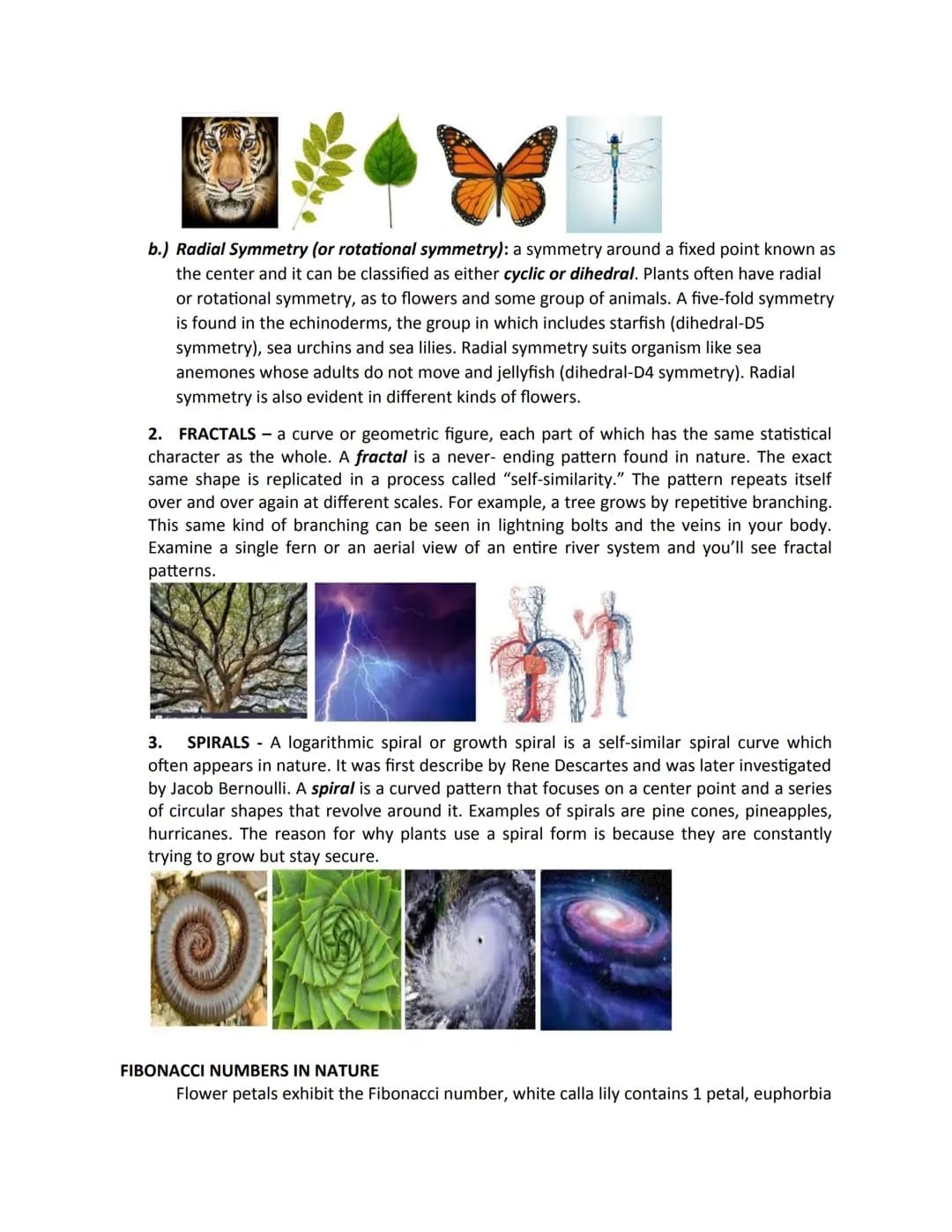 Mathematics In The Modern World
Module #1
Topic: THE NATURE OF MATHEMATICS
MATHEMATICS is:
• the study of pattern and structure.
• a useful