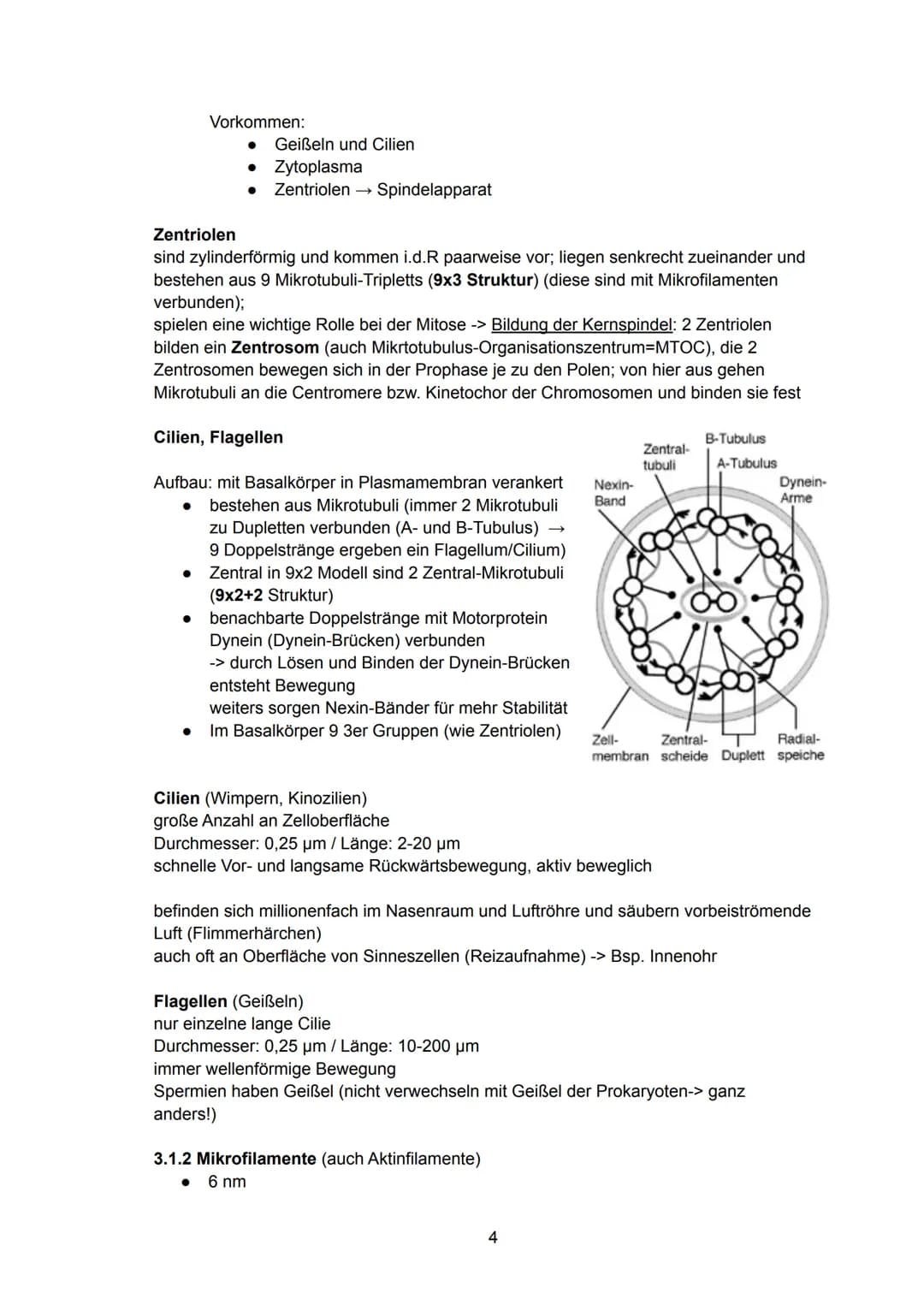 Zellbiologie
= kleinste Einheit des Lebens, die die Grundbausteine des Lebens, die Zellorganellen,
enthält. Sie kann höchst spezialisiert se