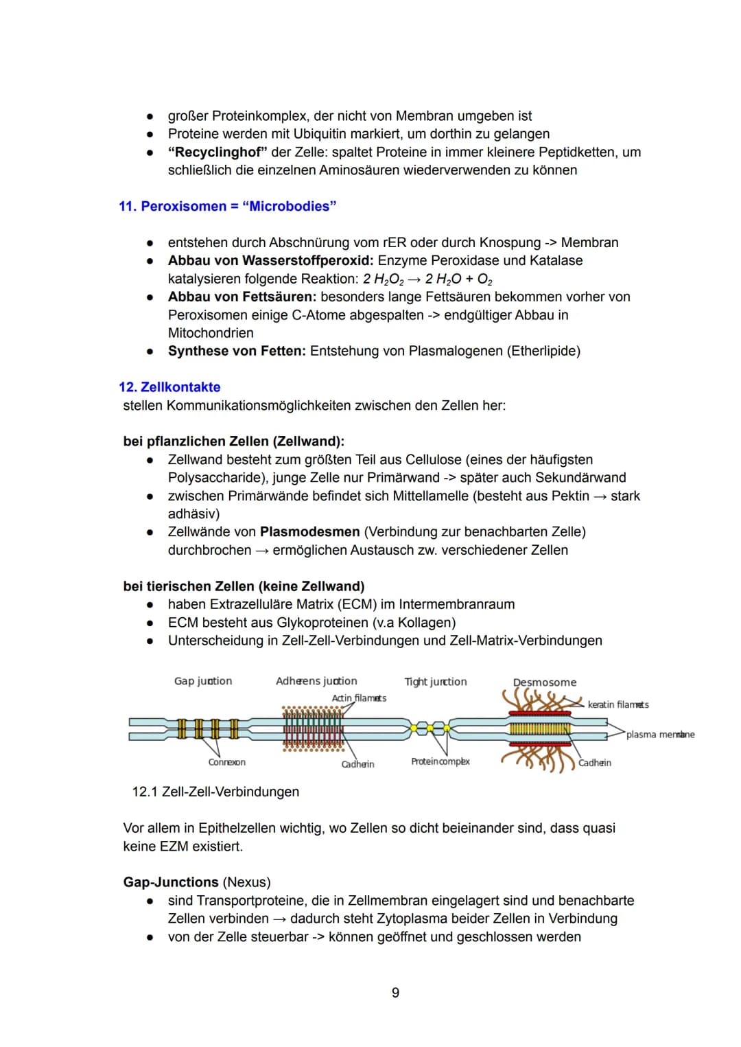 Zellbiologie
= kleinste Einheit des Lebens, die die Grundbausteine des Lebens, die Zellorganellen,
enthält. Sie kann höchst spezialisiert se