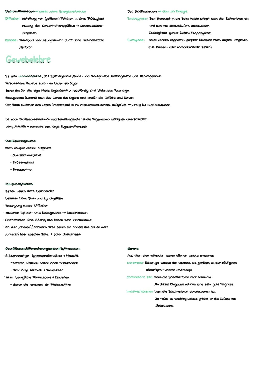 Anatomie Grundlagen
Anatonie ist die Lehre von:
Morphologie (Aufbau)
Histologie (Gevebe)
Enbryologie (Entwicklung)
Makroskopisane Anatomie: