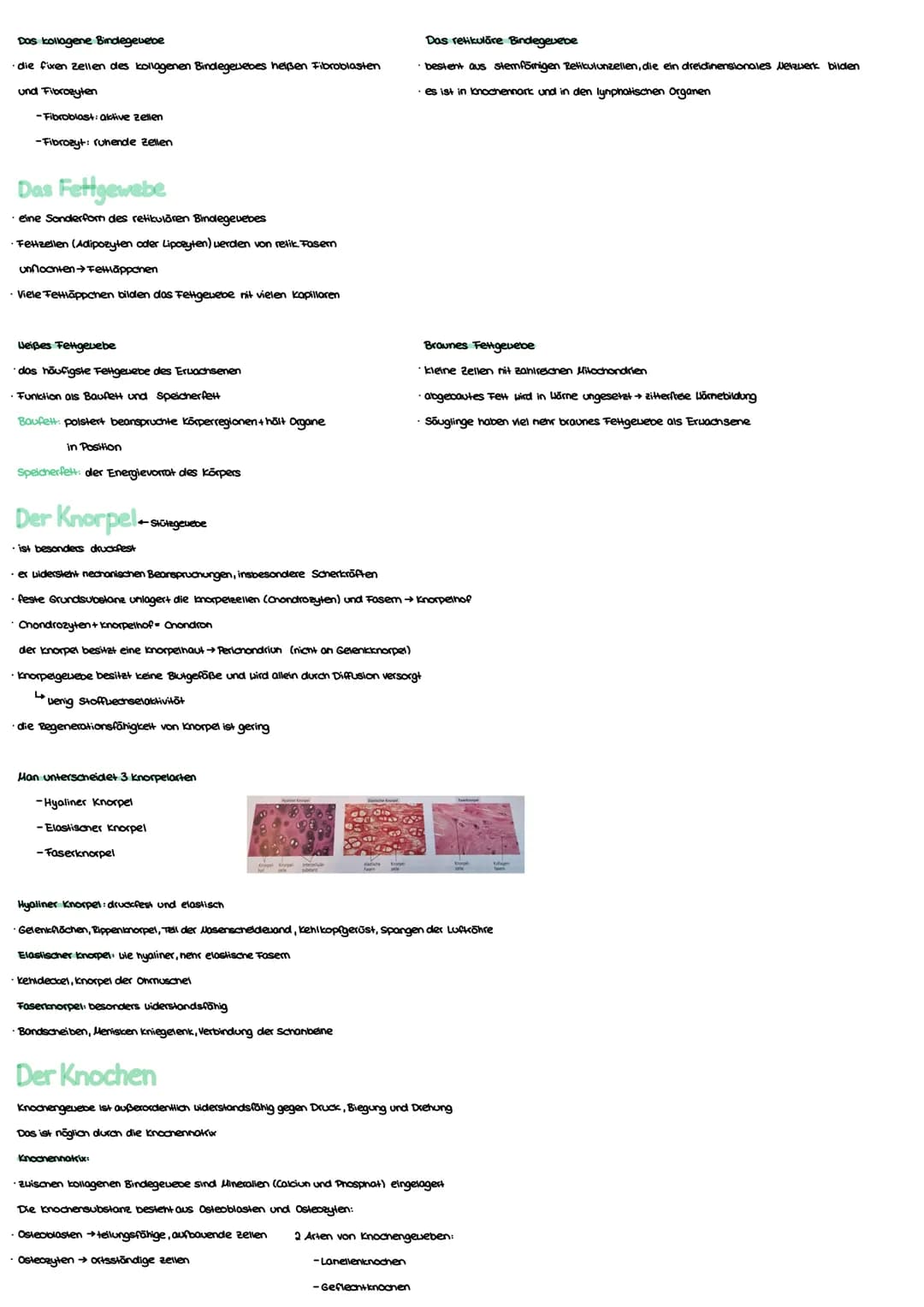 Anatomie Grundlagen
Anatonie ist die Lehre von:
Morphologie (Aufbau)
Histologie (Gevebe)
Enbryologie (Entwicklung)
Makroskopisane Anatomie: