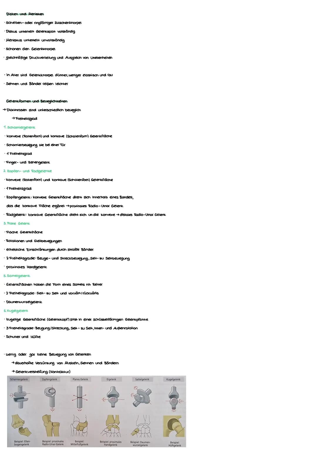 Anatomie Grundlagen
Anatonie ist die Lehre von:
Morphologie (Aufbau)
Histologie (Gevebe)
Enbryologie (Entwicklung)
Makroskopisane Anatomie: