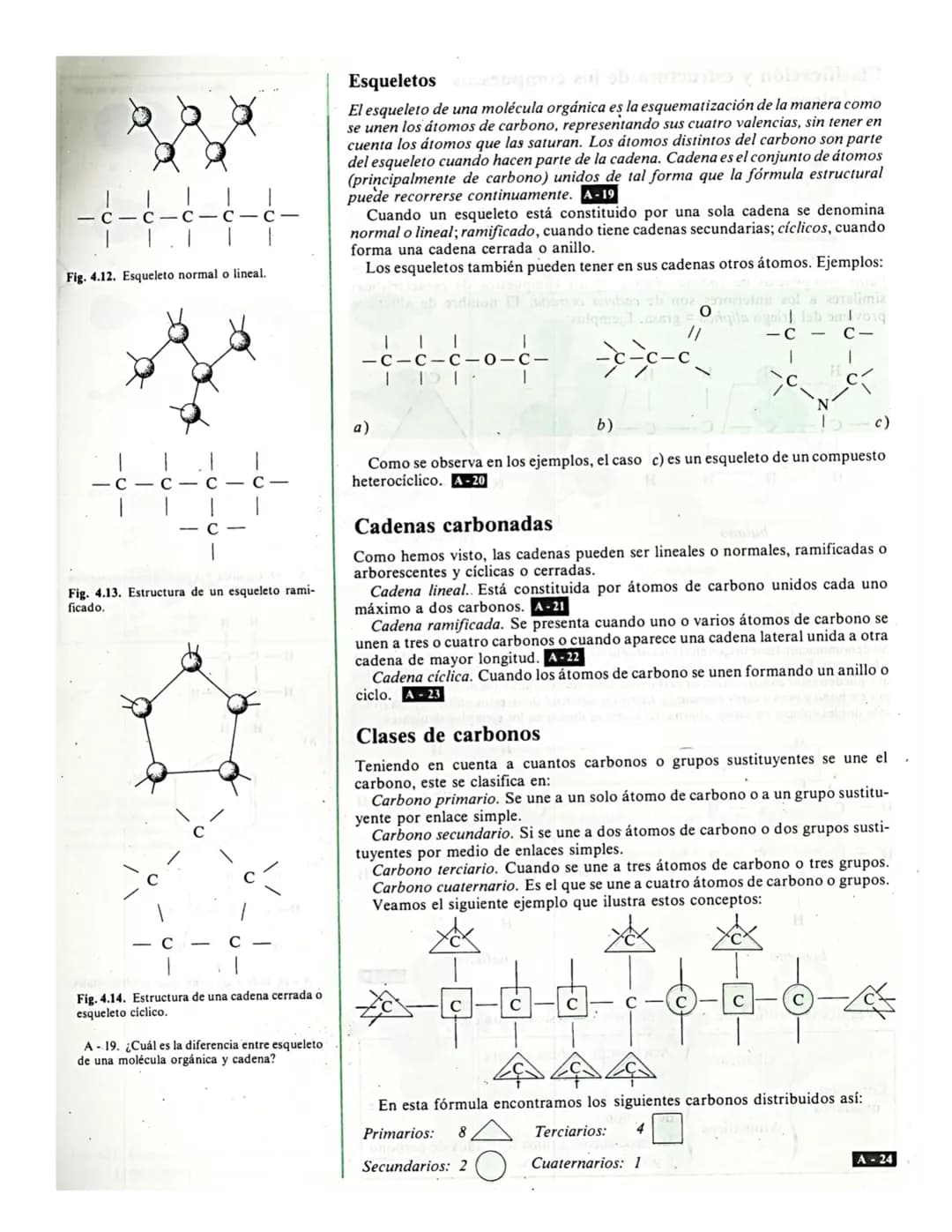 # Institución Educativa Municipal Ciudad de Pasto
ÁREA CIENCIAS NATURALES - QUÍMICA
DOCENTE NIDIA CÁRDENAS E
4
# Los
# compuestos orgánic