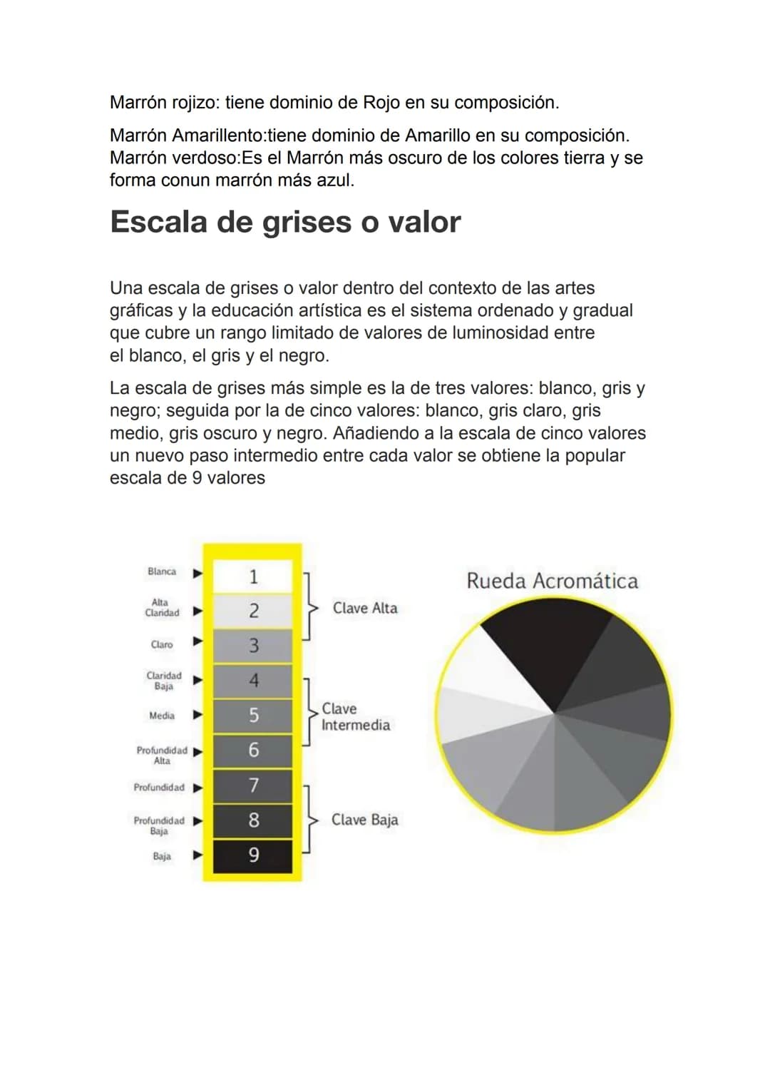 # TEORIA DEL COLOR
# IMPORTANCIA DEL COLOR:
La presencia del color en todos los aspectos de nuestras vidas es sumamente central. Así, el c