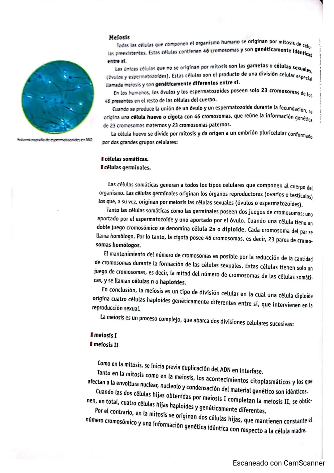 Cromande
Centromery
Cromatida
Cromosoma duplicado
Condensación de cromosomas: a medida
que aumenta el grado de plegamiento, la
cromatina se