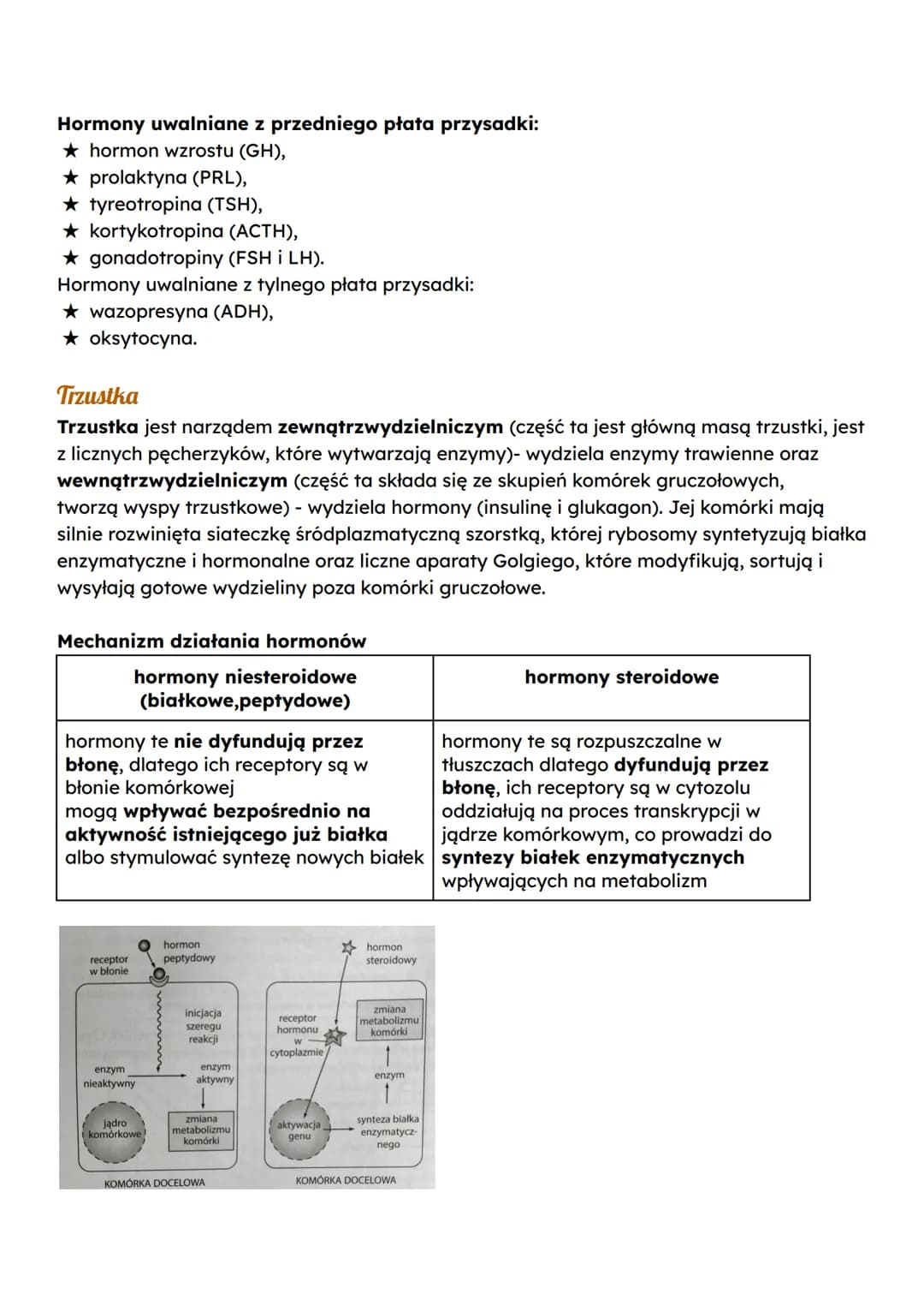 Budowa i rola układu hormonalnego
Układ hormonalny (dokrewny) tworzą gruczoły wewnątrzwydzielnicze (dokrewne) oraz
wyspecjalizowane komórki
