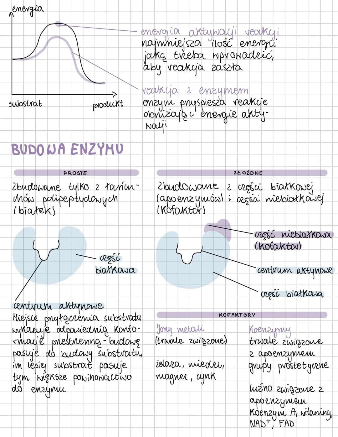 ## ENZYMY
## Budowa i działanie enzymów
Żeby zauręła się dana reakcja chemiczna potrzeba
okreslonej ilości energii, która nazywa się energ