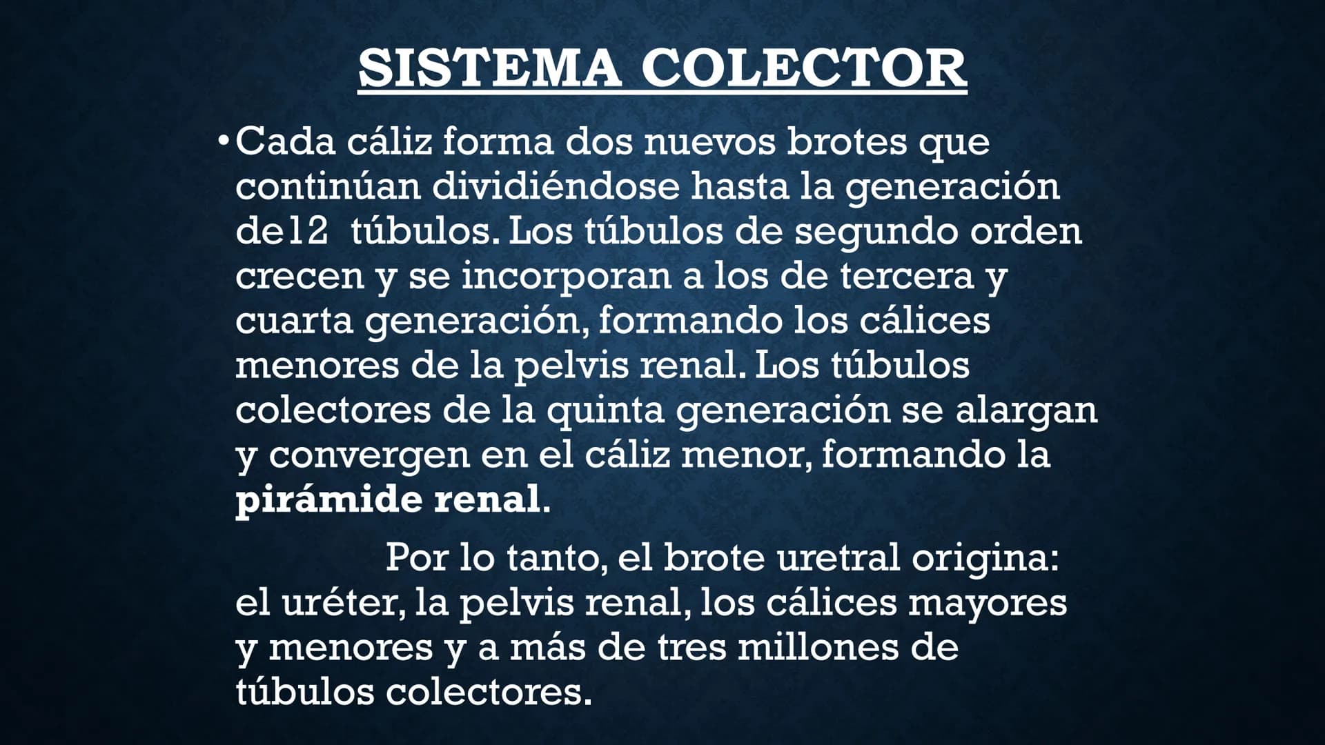 # ANATOMÍA Y FISIOLOGÍA
# RENAL
Dra. Lisek Herrera Utrera SISTEMA RENAL
•El aparato urinario o excretor es un
conjunto de órganos encargados