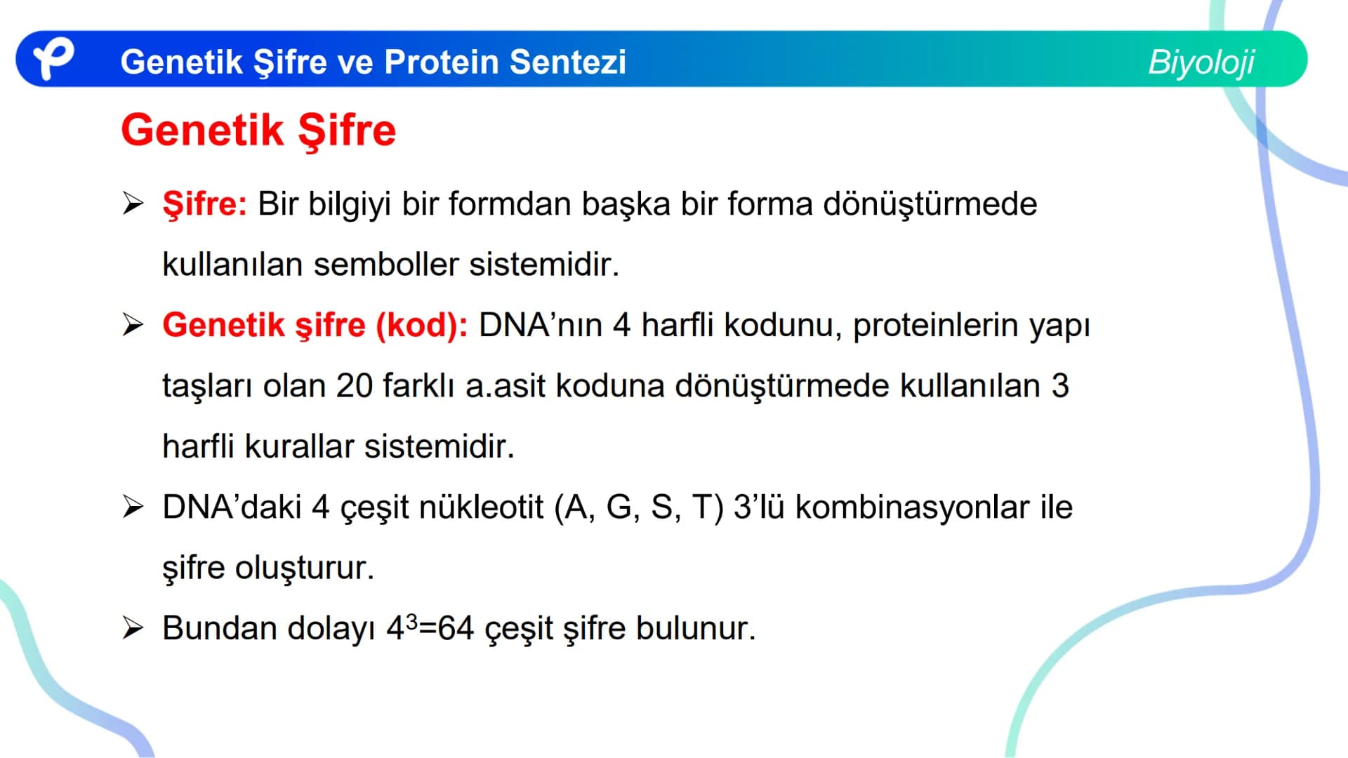 ## Biyoloji
## GENETİK ŞİFRE VE
## PROTEİN SENTEZİ ## Genetik Şifre ve Protein Sentezi
## Genetik Şifre
- **Şifre:** Bir bilgiyi bir form