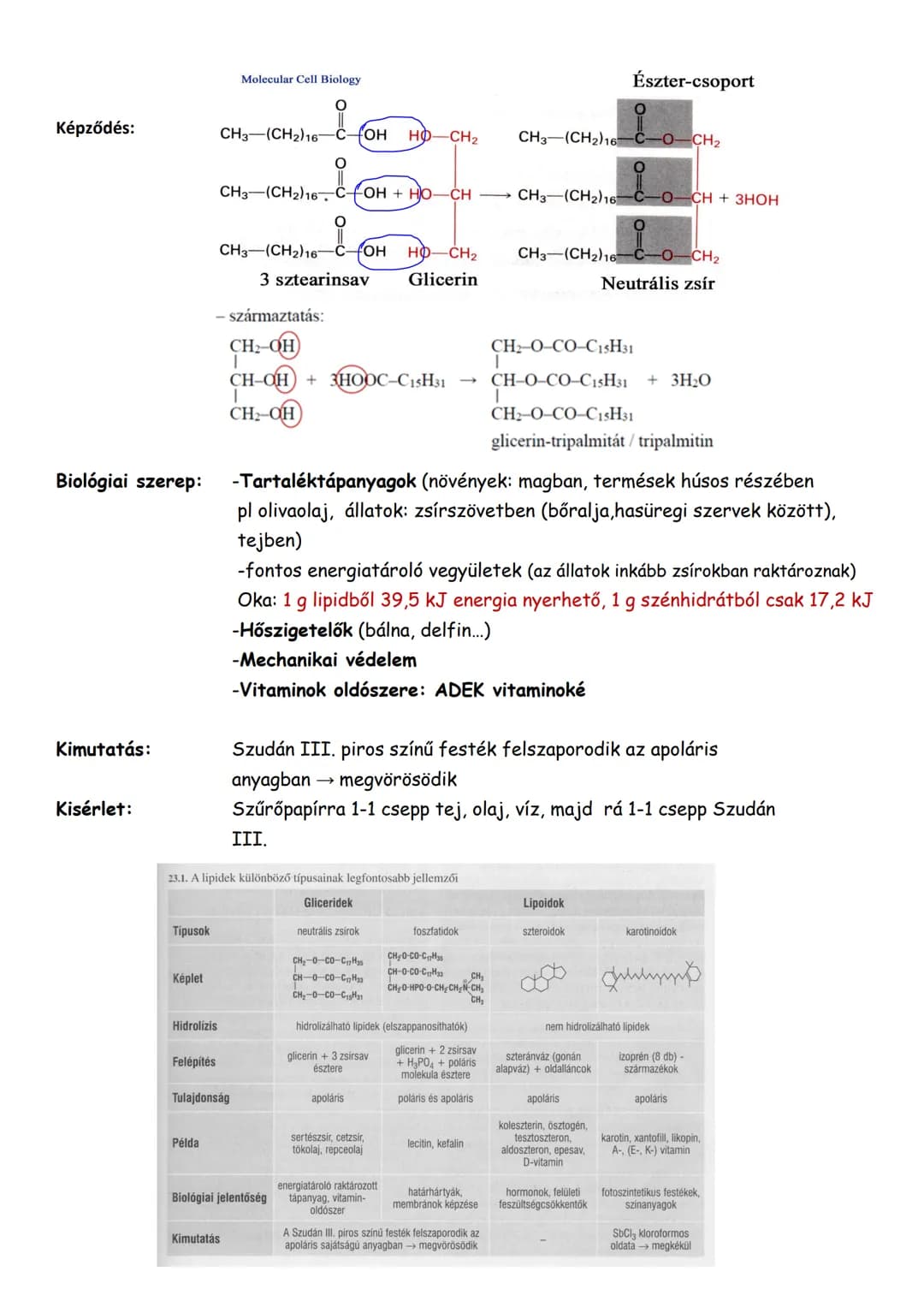 ## Lipidek
Lipid:
Olyan vegyület, mely zsíroldószerekben oldódik.
-vegyületcsoport
Közös tulajdonság:
-apoláris osz-ben (benzol, kloroform