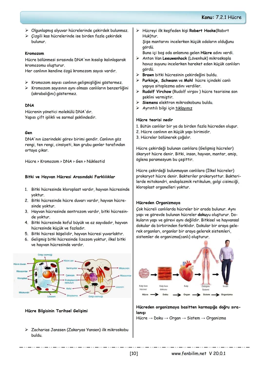## 7.Sınıf Fen Bilimleri Ders Notları
Barış ZEREN
Fen Bilimleri Öğretmeni
www.fenbilim.net V 20.0.1 1.Ünite: Güneş Sistemi ve Ötesi
Konu:
