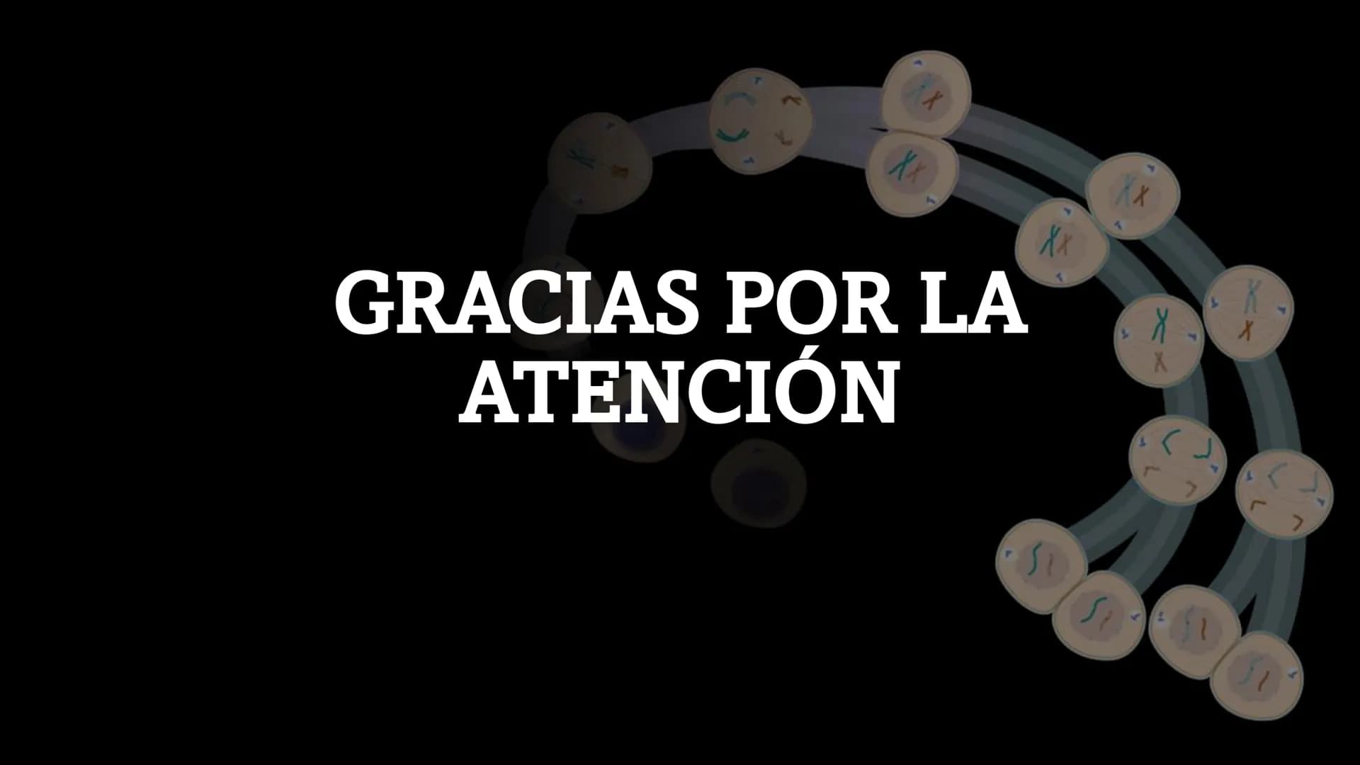 # MEIOSIS Definición
• La meiosis es un proceso de división
celular en el que una célula con dos
juegos de cromosomas (diploide) se
divide p