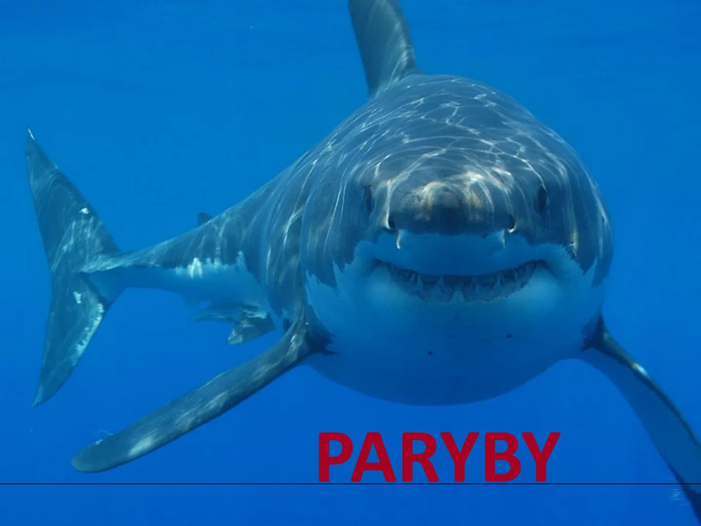 PARYBY Třída: PARYBY
• mořští, vzácně i sladkovodní
živočichové podobní rybám
• na rozdíl od ryb mají
chrupavčitou kostru
• nemají skřele, m