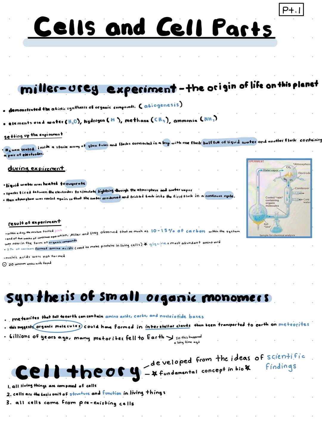 P+.1
Cells and Cell Parts
miller-urey experiment - the origin of life on this planet
demonstrated the abiotic synthesis of organic compounds