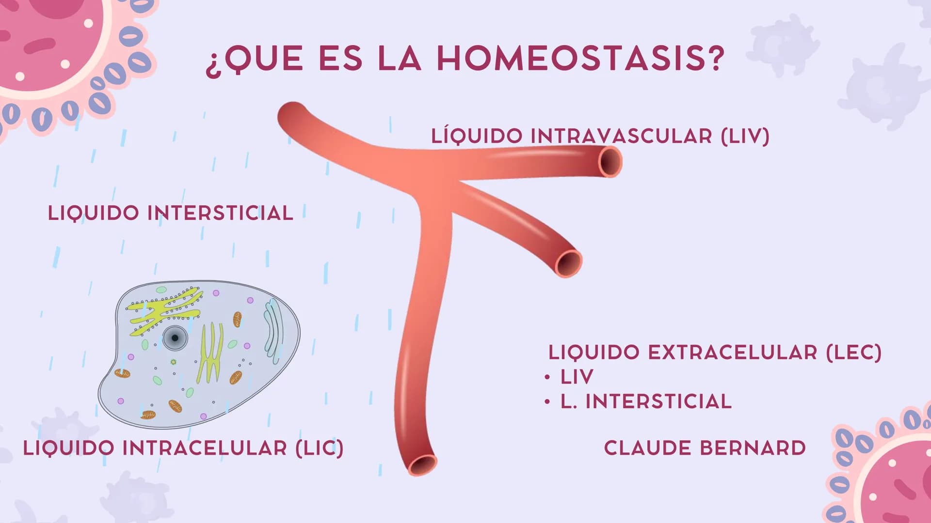 # CAP 03:
# HOMEOSTASIS
Enc.: ERICK F. LUDEÑA A. ### ¿QUE ES LA HOMEOSTASIS?
* Capacidad del organismo para mantener
un ambiente intern
