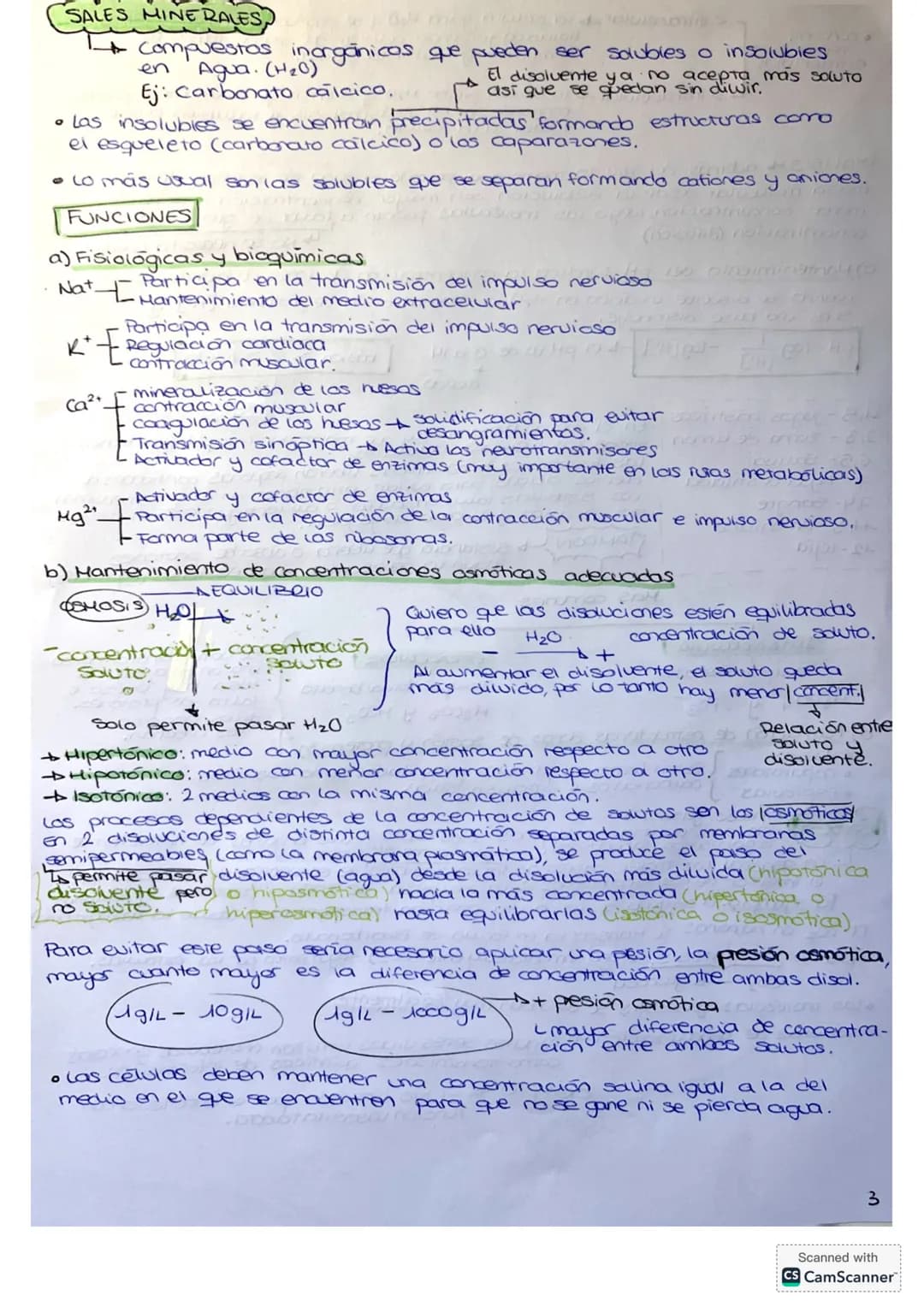 BIOLOGIA TEMA 1.
BASE FISICOQUIMICA DE LA VIDA.
1. BIOELEMENTOS Y BIOMOLÉCULAS.
- Bioelementas o elementos biogénicas: elementos químicos q