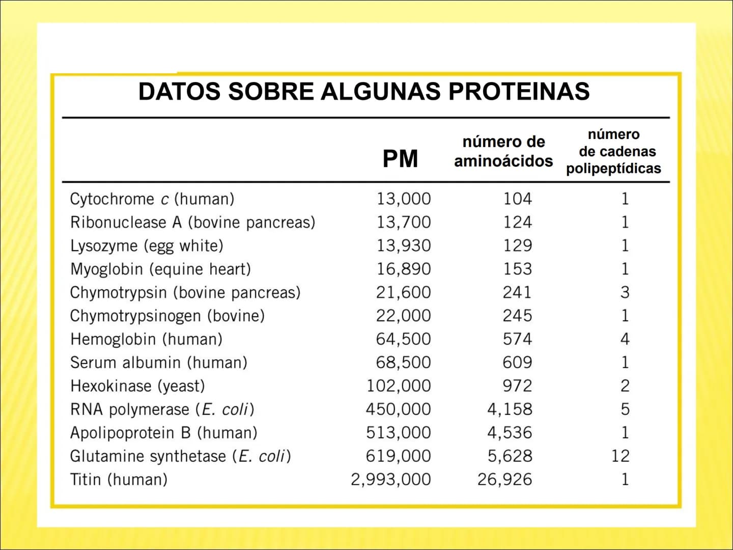 # PROTEÍNAS GENERALIDADES Las proteínas
están formadas por unidades básicas
que corresponden a los aminoácidos, los cuales
se unen entre