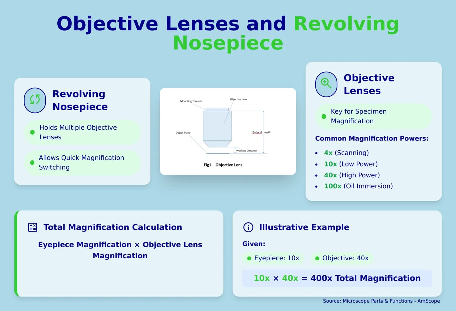 Eye piece
Parts of a Microscope
adjustment
Grade 7 Quarter 2
knob
Fine adjustment
knob
Sapiens Al
Body tube
Revolving
nose piece
Objective