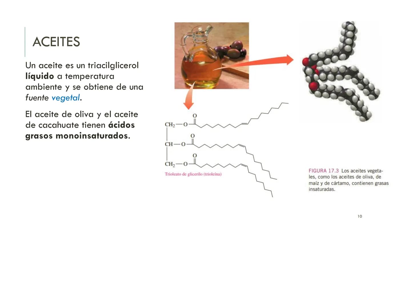 | BIOQUIMICA
Dra. Layla Simón
lsimon@uft.cl REPASO SOLEMNE 2
1. Química Orgánica
2. Enzimas
3. Introducción al metabolismo
4. Metabolismo