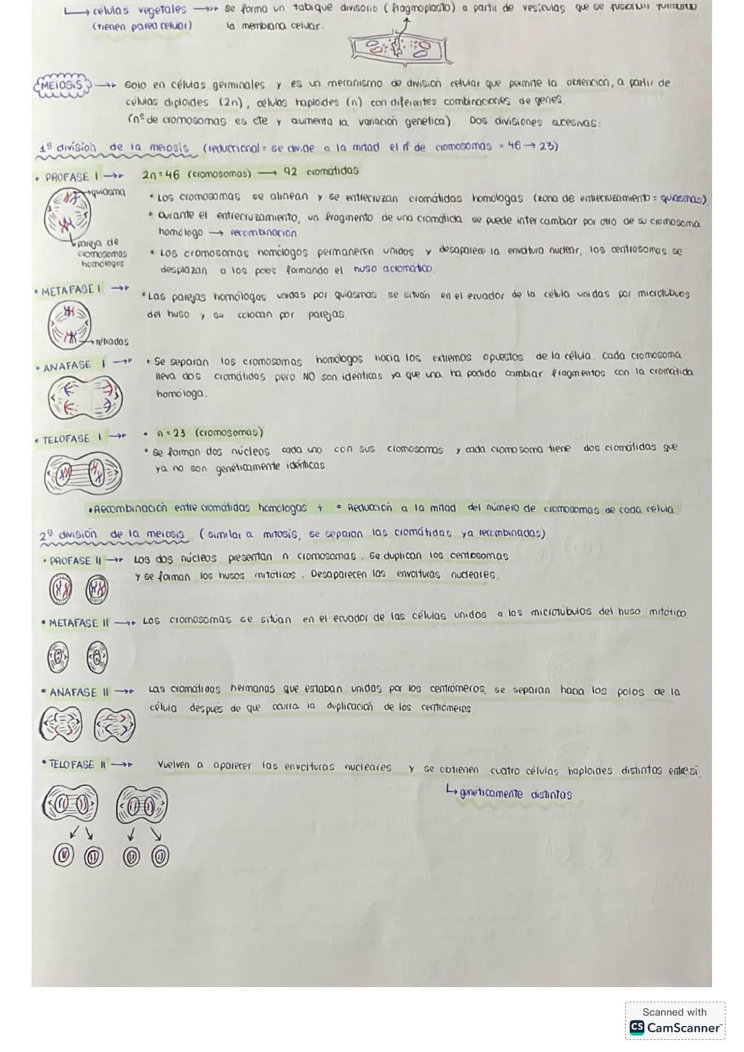 # tema 0: La unidad estructural
y funcional de la VIDA
1. Niveles de agonizo
* Geres vivos
* formadas por los mismos elementos (bi