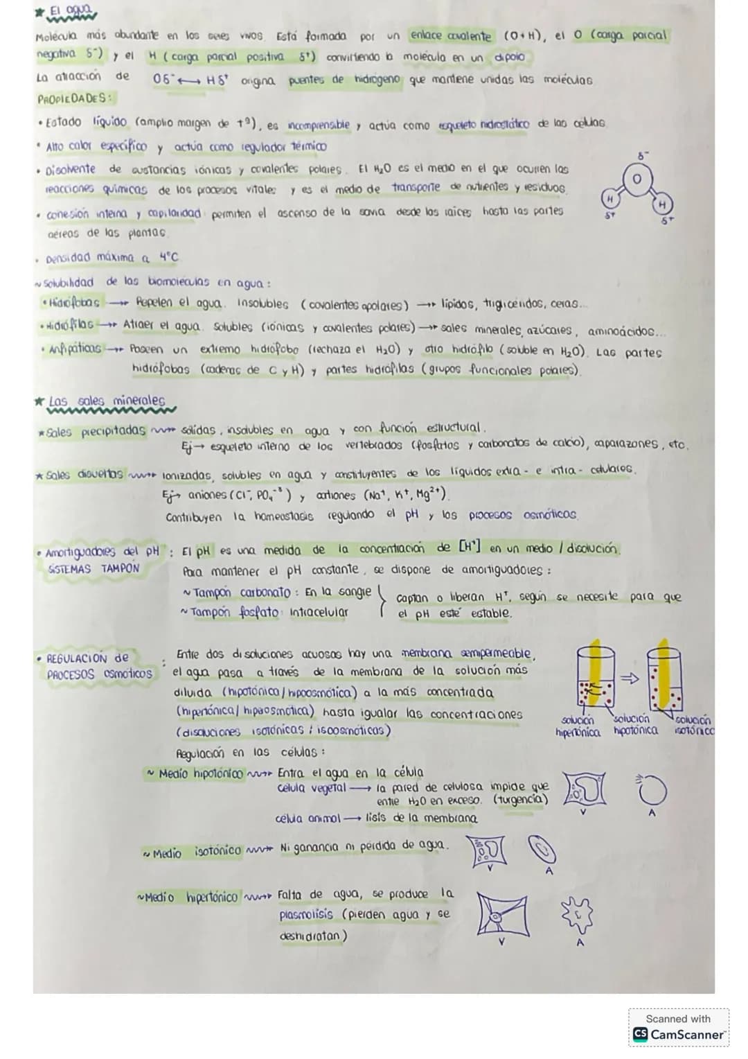 # tema 0: La unidad estructural
y funcional de la VIDA
1. Niveles de agonizo
* Geres vivos
* formadas por los mismos elementos (bi