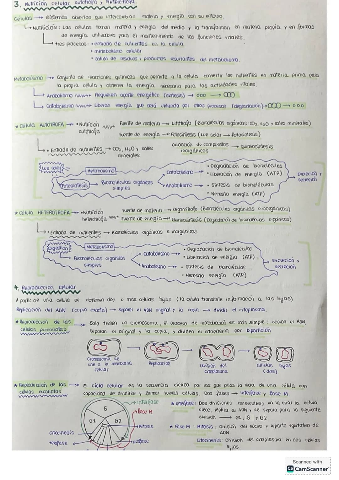 # tema 0: La unidad estructural
y funcional de la VIDA
1. Niveles de agonizo
* Geres vivos
* formadas por los mismos elementos (bi