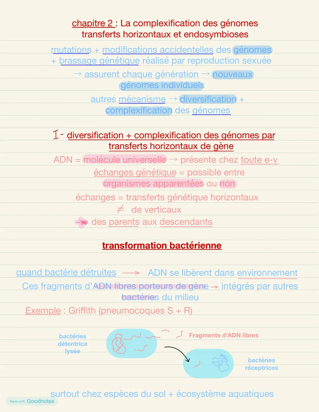 # chapitre 2: La complexification des génomes
transferts horizontaux et endosymbioses
mutations + modifications accidentelles des génomes