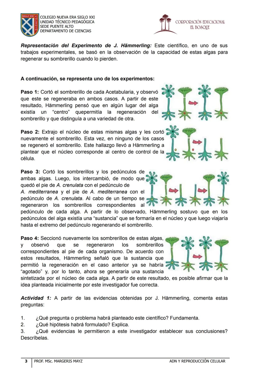 COLEGIO NUEVA ERA SIGLO XXI
UNIDAD TÉCNICO PEDAGÓGICA
SEDE PUENTE ALTO
DEPARTAMENTO DE CIENCIAS
CORPORACIÓN EDUCACIONAL
EL BOSQUE
# MATERI