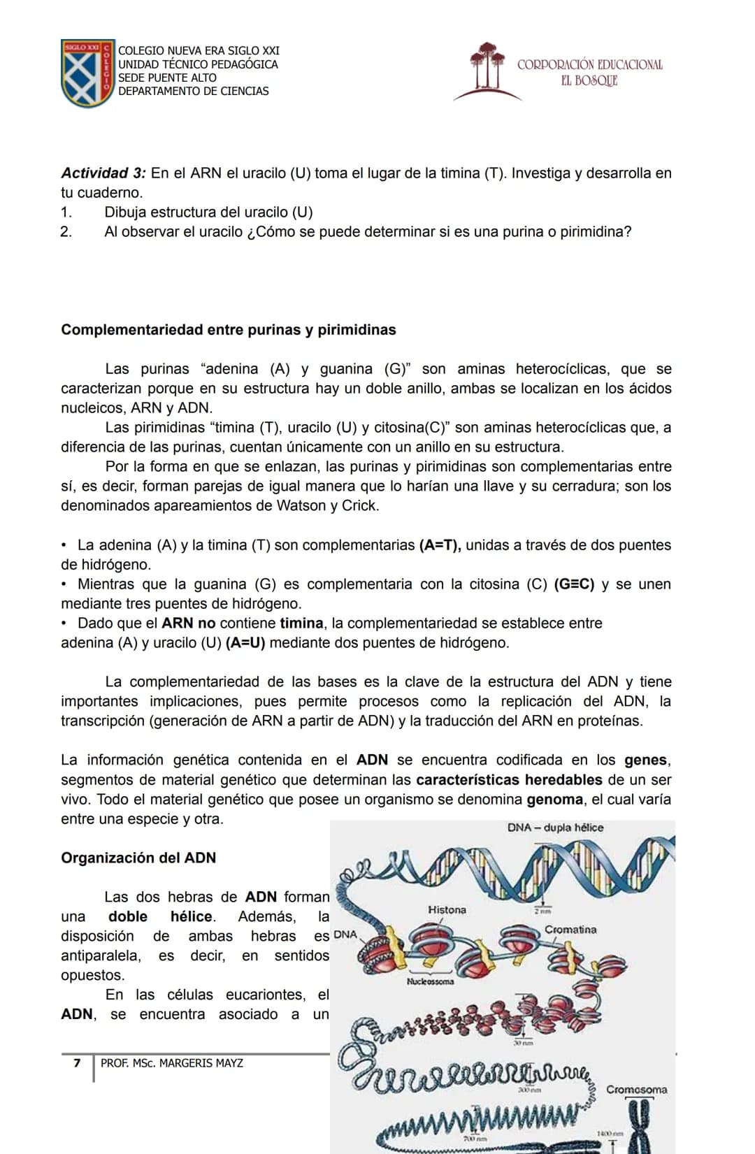 COLEGIO NUEVA ERA SIGLO XXI
UNIDAD TÉCNICO PEDAGÓGICA
SEDE PUENTE ALTO
DEPARTAMENTO DE CIENCIAS
CORPORACIÓN EDUCACIONAL
EL BOSQUE
# MATERI