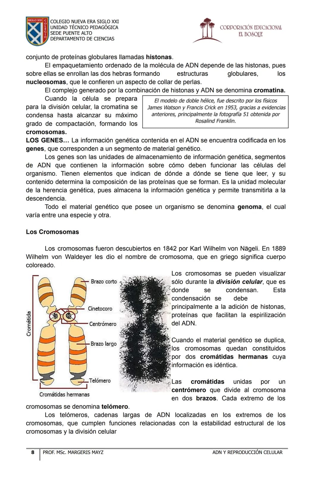 COLEGIO NUEVA ERA SIGLO XXI
UNIDAD TÉCNICO PEDAGÓGICA
SEDE PUENTE ALTO
DEPARTAMENTO DE CIENCIAS
CORPORACIÓN EDUCACIONAL
EL BOSQUE
# MATERI