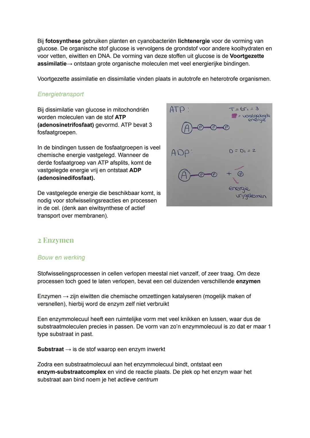 # 1 Chemie in cellen
Energierijke organische stoffen
Stofwisseling: Het geheel van chemische omzettingsprocessen in een organisme. Een
gro