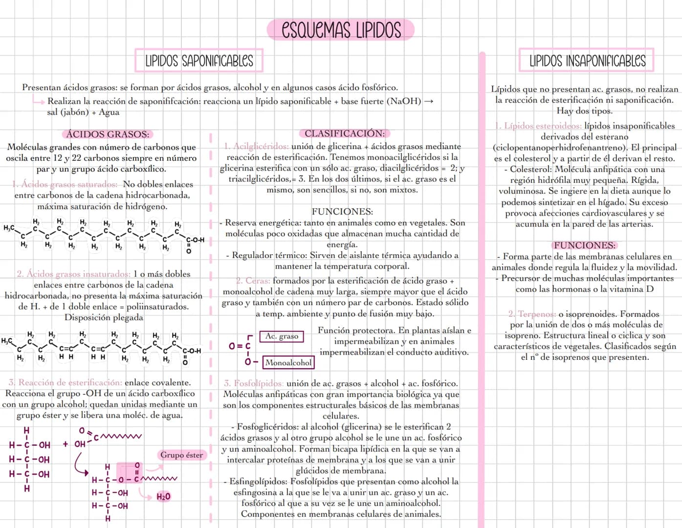 # ESQUEMAS GLUCIDOS
MONOSACARIDOS
fórmula general Cn H2n On
n= 3-7 carbonos
Forma alfa: OH por
debajo del plano
Forma beta: OH por
enci