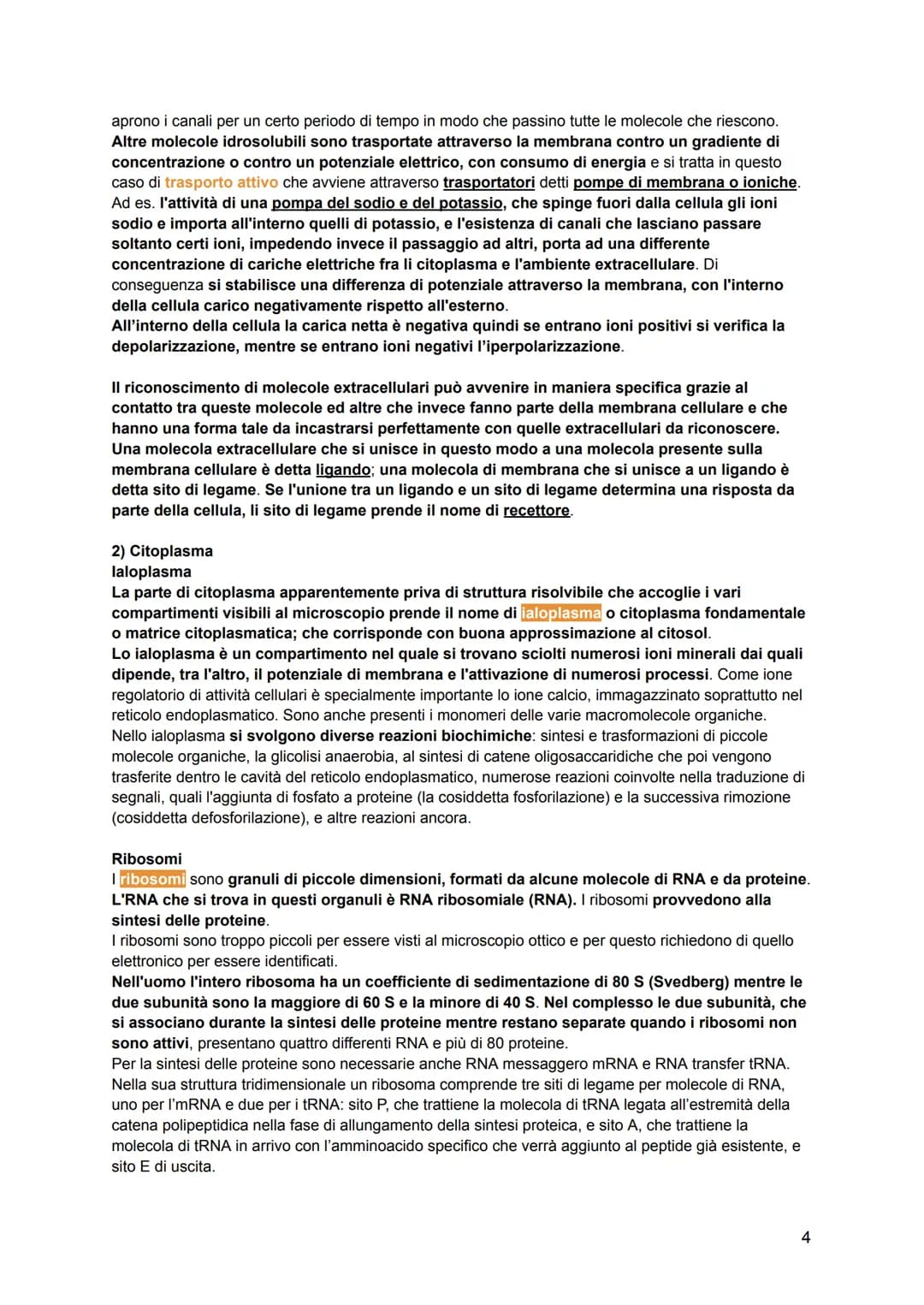 # ISTOLOGIA
L'istologia viene divisa in:
-citologia: lo studio della struttura della cellula e delle sue parti
-istologia: lo studio dell