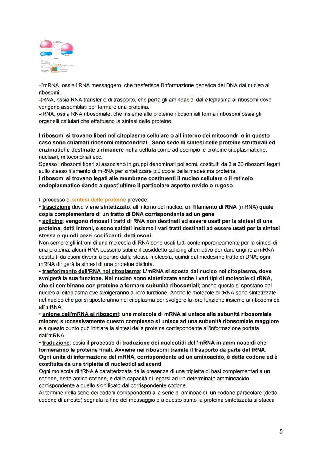 # ISTOLOGIA
L'istologia viene divisa in:
-citologia: lo studio della struttura della cellula e delle sue parti
-istologia: lo studio dell