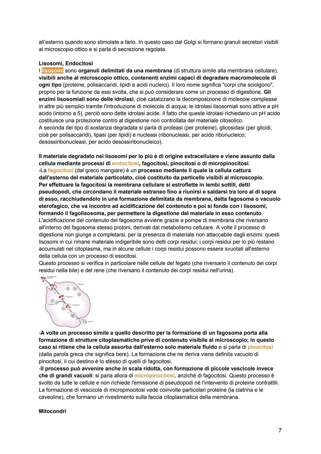 # ISTOLOGIA
L'istologia viene divisa in:
-citologia: lo studio della struttura della cellula e delle sue parti
-istologia: lo studio dell