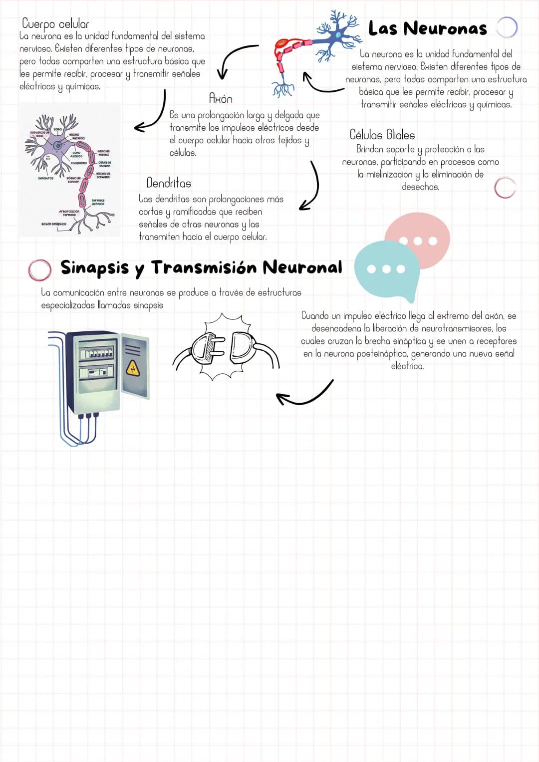 # Sistema
Nervioso
Cuando llega un mensaje al cerebro
procedente de cualquier parte del cuerpo.
el cerebro envía al cuerpo un mensaje
sobre