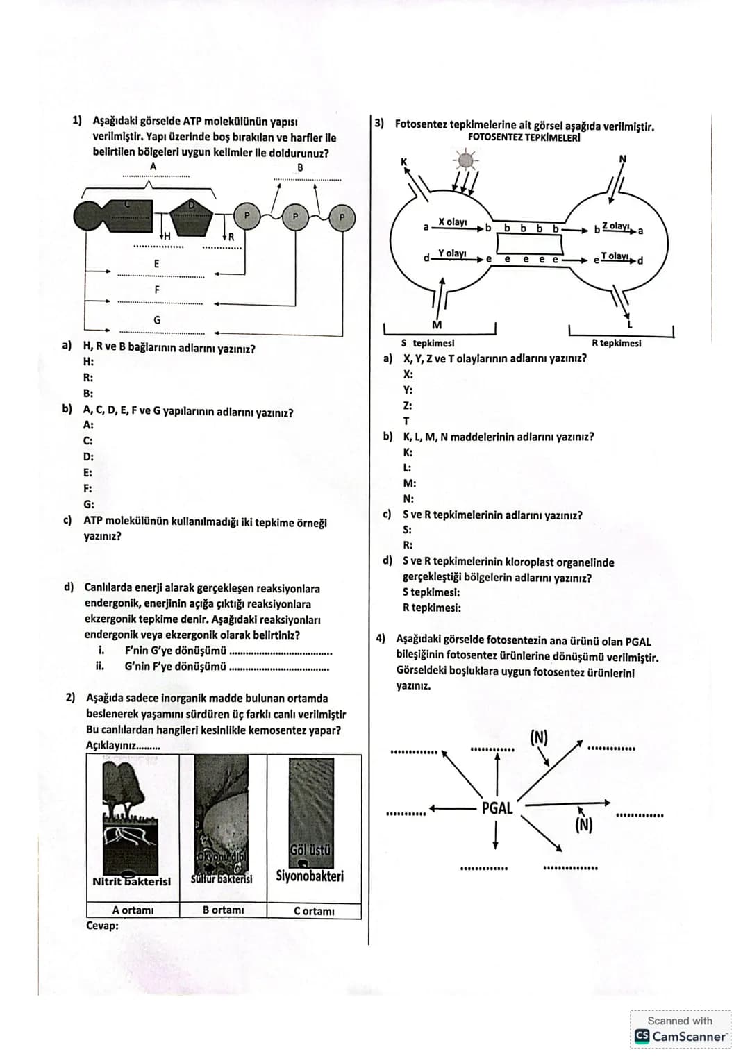 ```markdown
= GALIŞMALAR =
①
Aerobik Solunur ATP.
Anaerobik Solun
Fermentasyon
ADP
Pi
?
→Biyosentez
→Aktif taşıma
→ Impuls iletimi
Kas kası