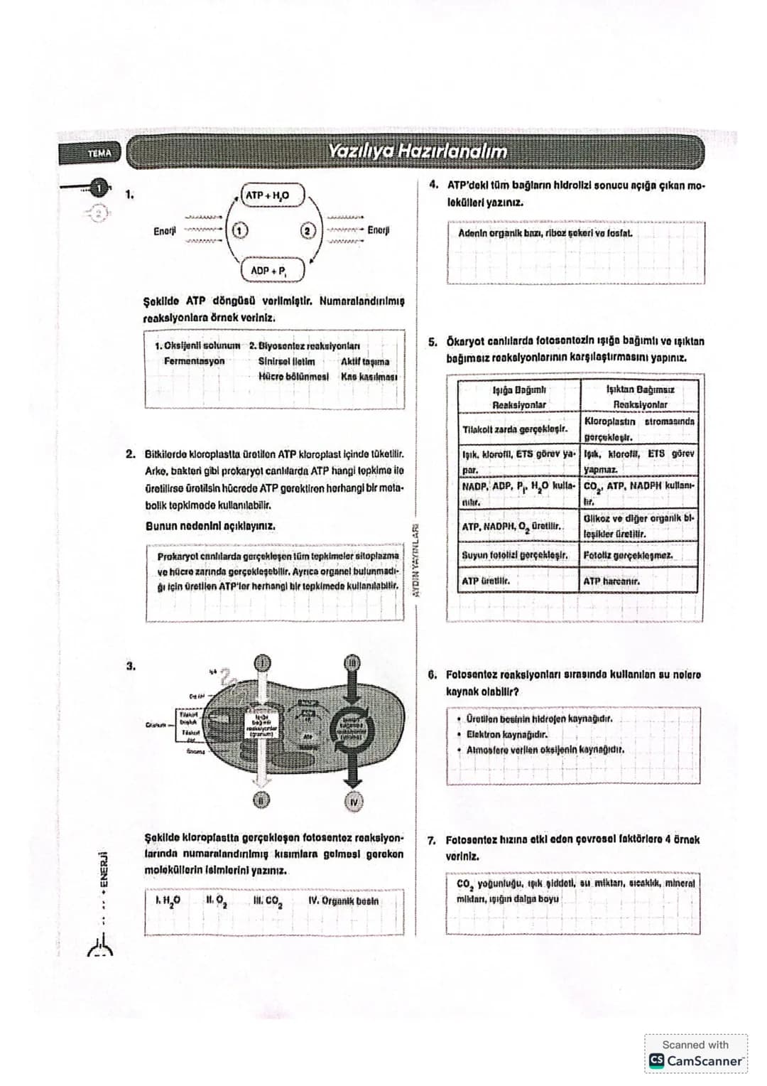 ```markdown
= GALIŞMALAR =
①
Aerobik Solunur ATP.
Anaerobik Solun
Fermentasyon
ADP
Pi
?
→Biyosentez
→Aktif taşıma
→ Impuls iletimi
Kas kası