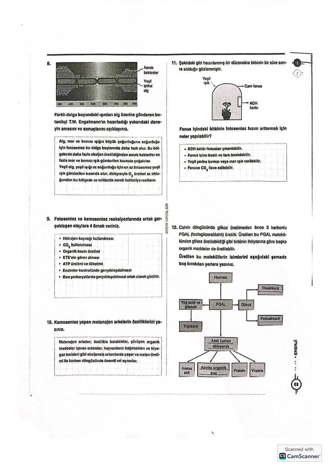 ```markdown
= GALIŞMALAR =
①
Aerobik Solunur ATP.
Anaerobik Solun
Fermentasyon
ADP
Pi
?
→Biyosentez
→Aktif taşıma
→ Impuls iletimi
Kas kası