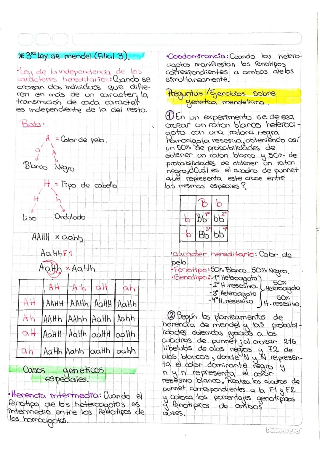 # Apuntes de genetica mendeliana-
• Conceptos fundamentales.
de genetica
•Caracter hederitario: Es Cualquier
caracteristica presente en un