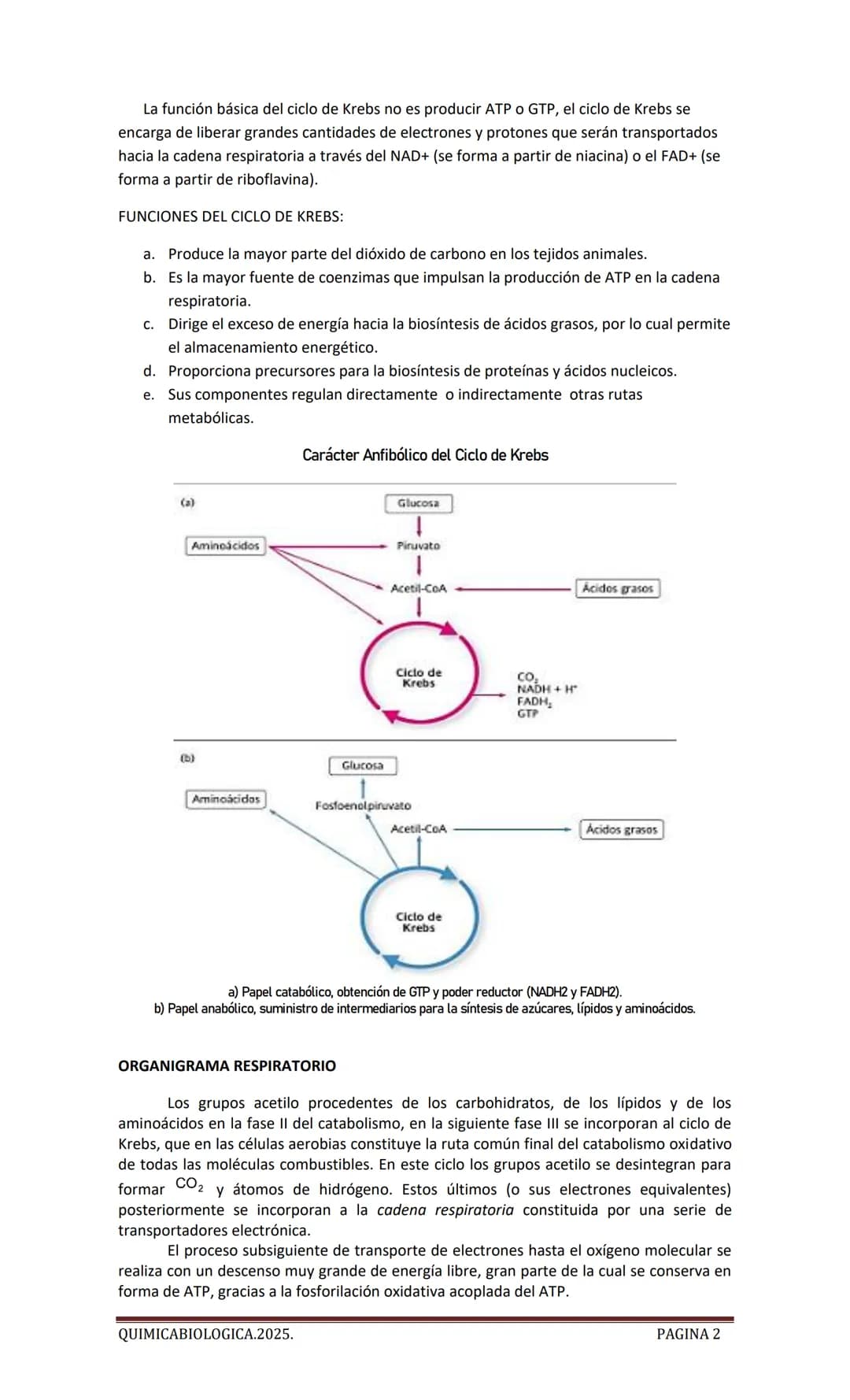 2025
CARTILLA DE METABOLISMO: CICLO DE
KREBS. CADENA RESPIRATORIA. LANZADERA
G3P. VIA DE LAS PENTOSAS.
Acetil-CoA 20 Citrato
H20
NADH+H
CO