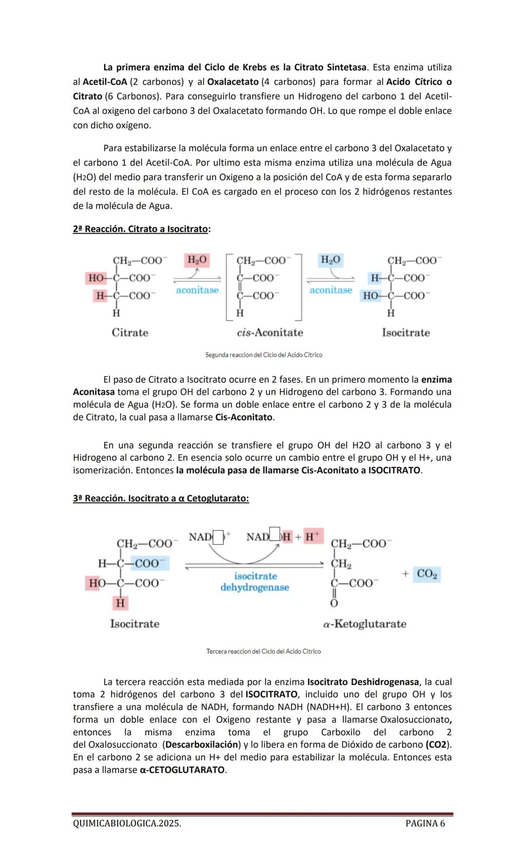 2025
CARTILLA DE METABOLISMO: CICLO DE
KREBS. CADENA RESPIRATORIA. LANZADERA
G3P. VIA DE LAS PENTOSAS.
Acetil-CoA 20 Citrato
H20
NADH+H
CO
